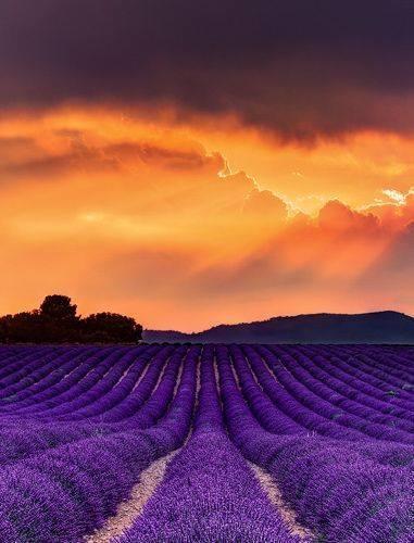 Hotel Le Relais Du Luberon Maubec  Экстерьер фото